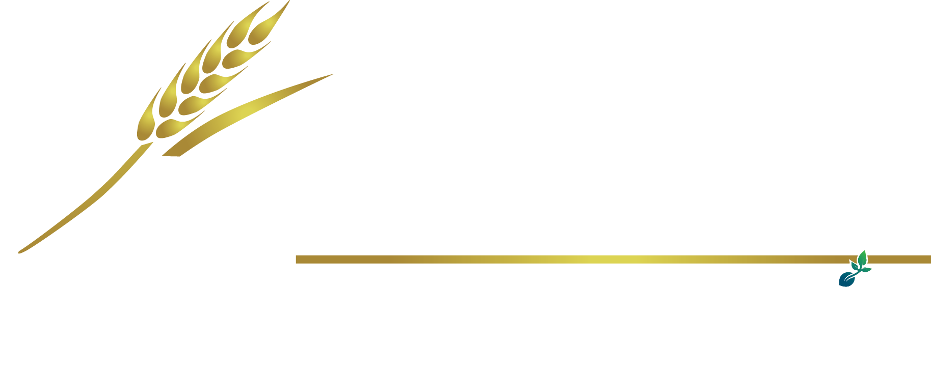 2020 Seed Labs 2020 Seed Labs