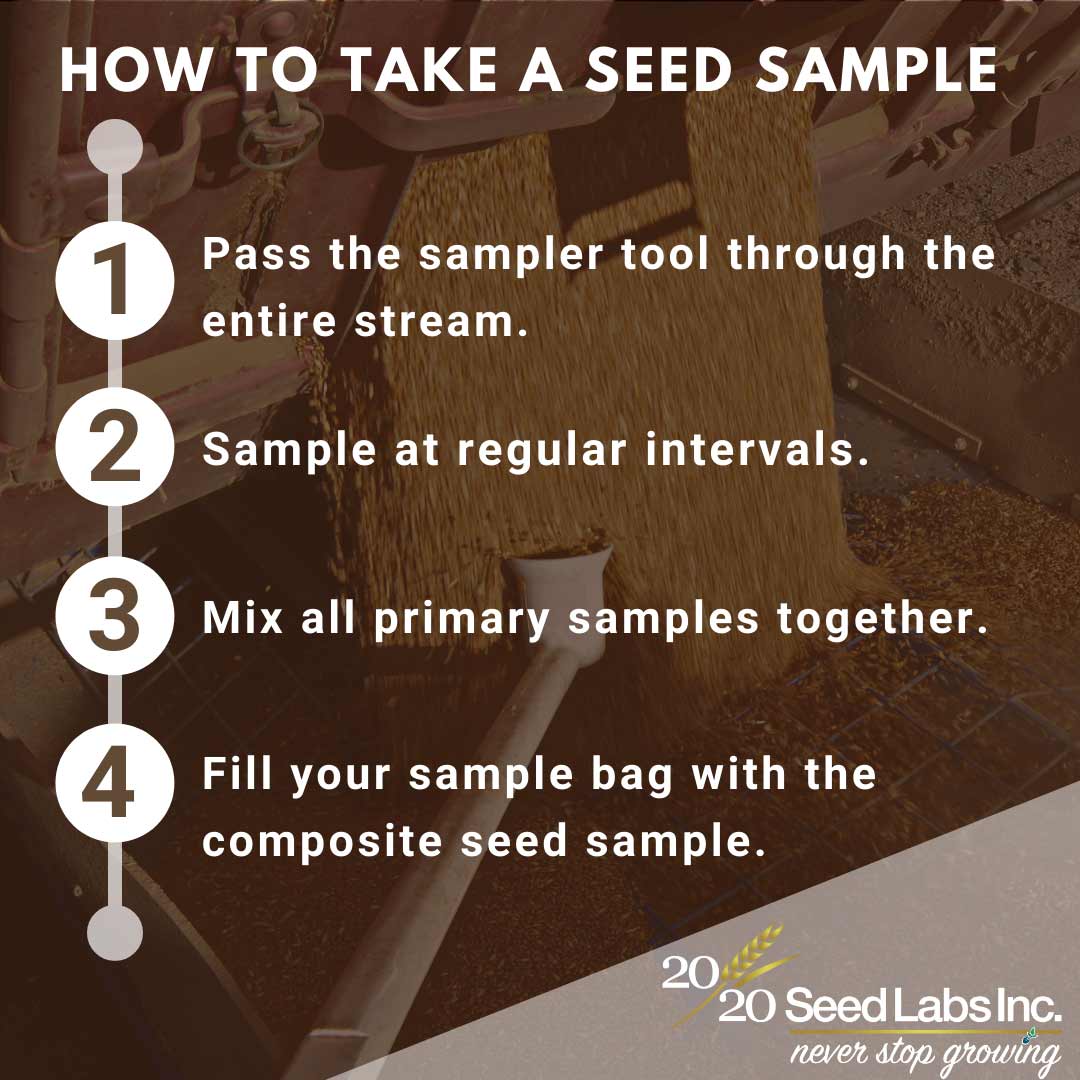 20/20 Seed Labs - How to Take a Seed Sample